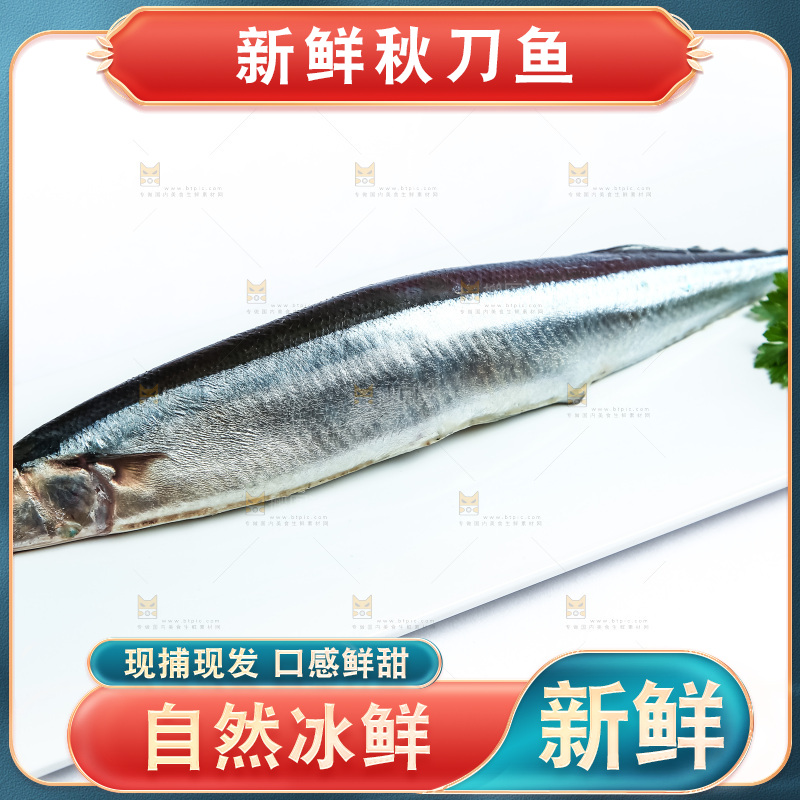 白底上放着一盘秋刀鱼