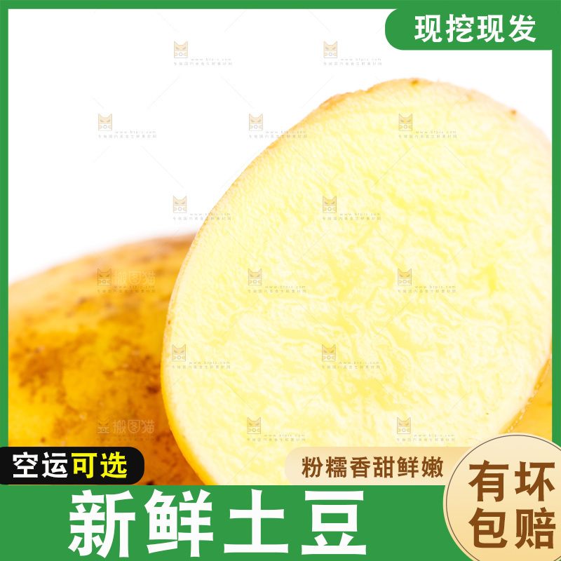 黄心土豆放在白底上