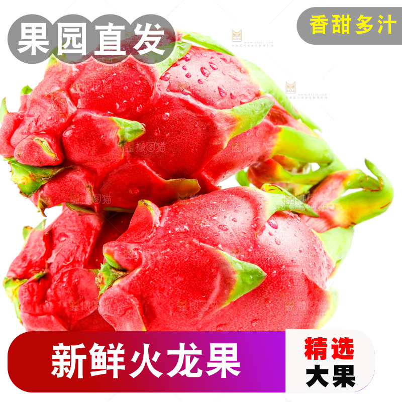 新鲜火龙果放在白底上