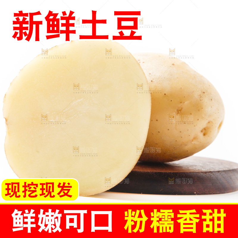 新鲜土豆放在白底上