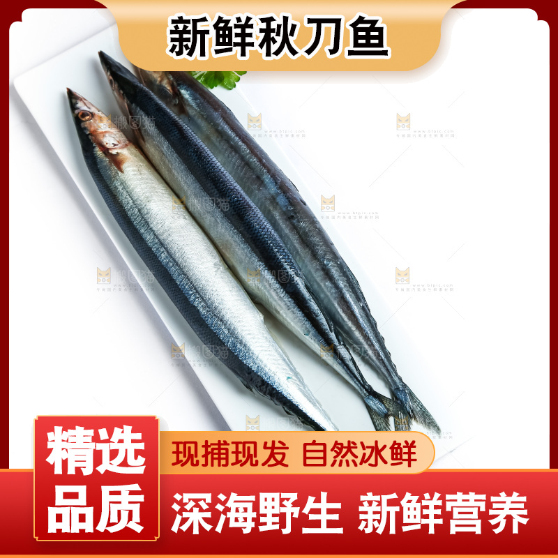 白底上放着一盘秋刀鱼