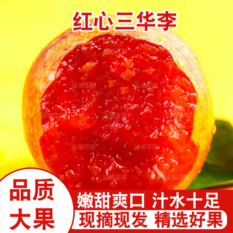 浅底上放着钱排三华李