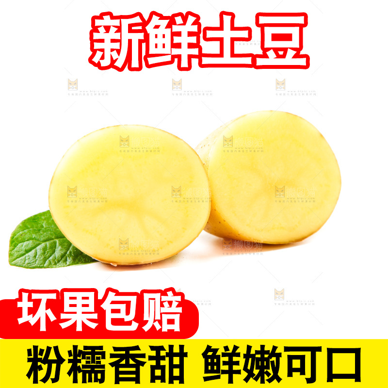 黄心土豆放在白底上