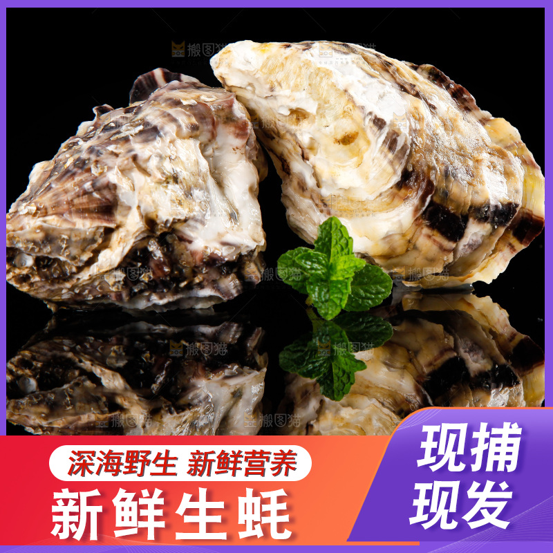 深底上放着牡蛎