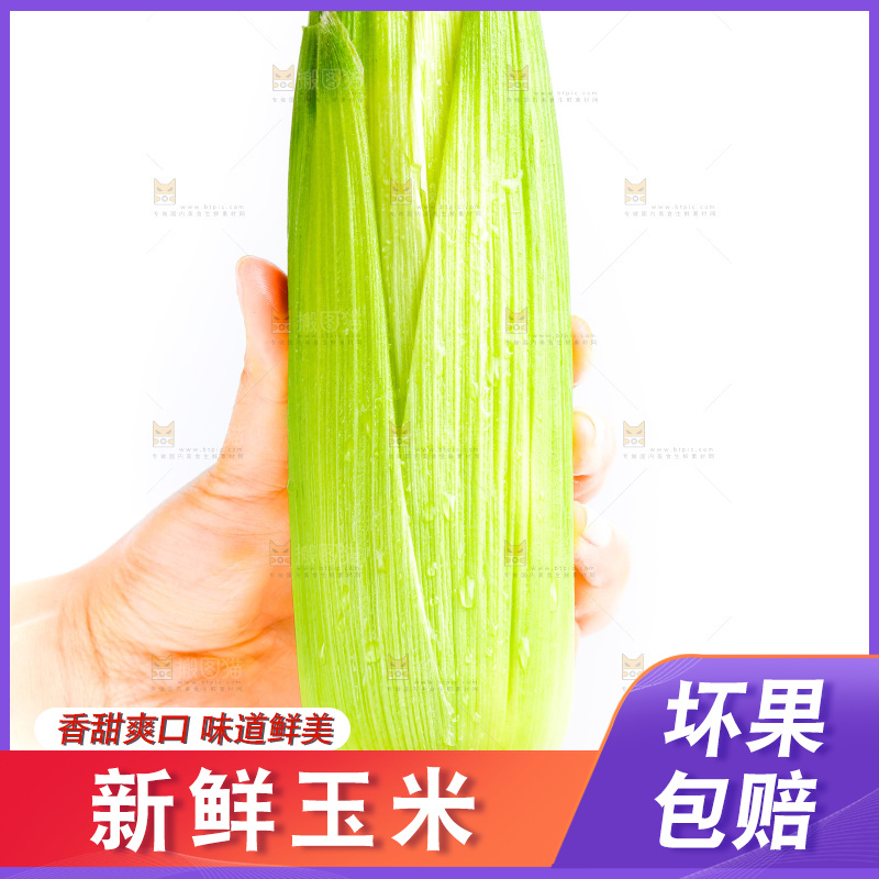 手拿新鲜玉米