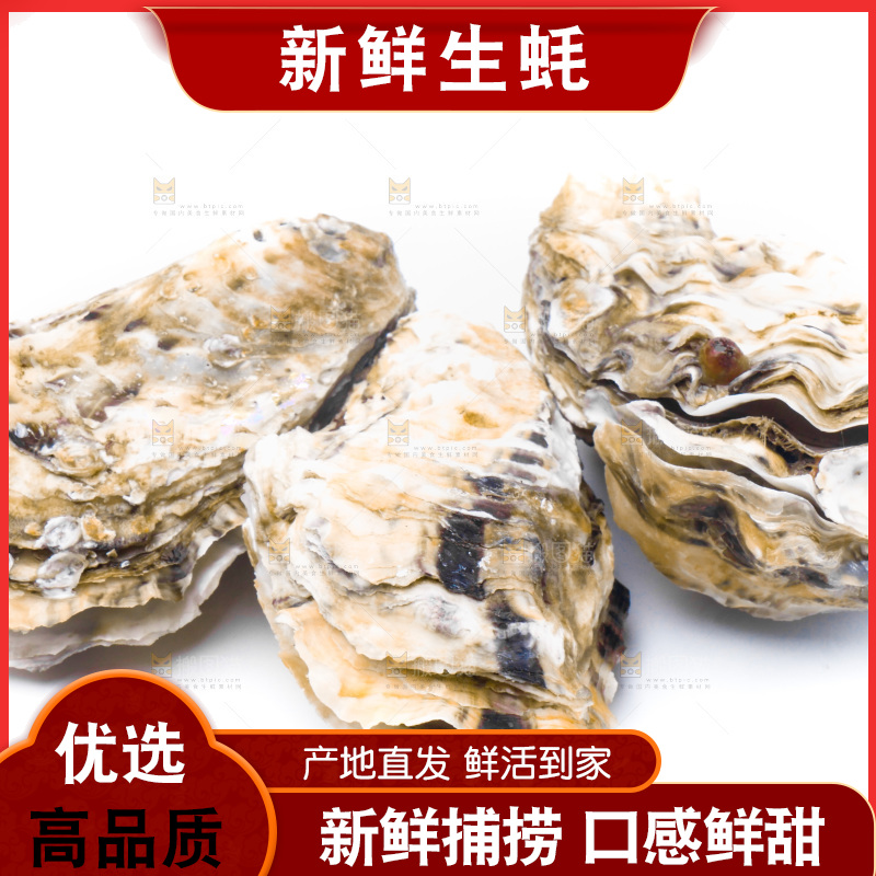 乳山生蚝放在白底上