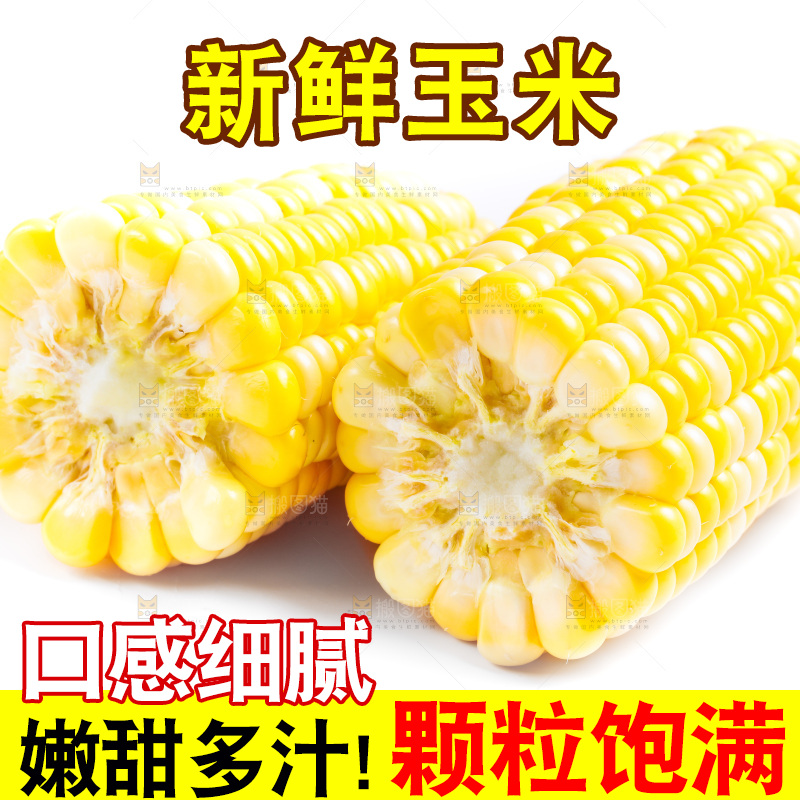 云南水果甜玉米放在白底上