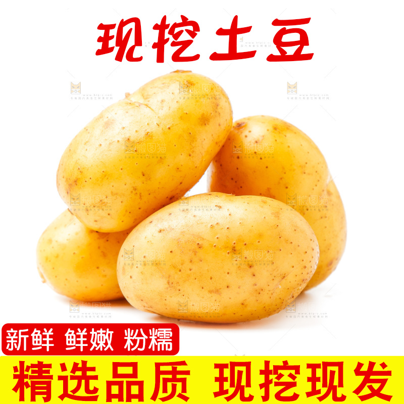 黄心土豆放在白底上