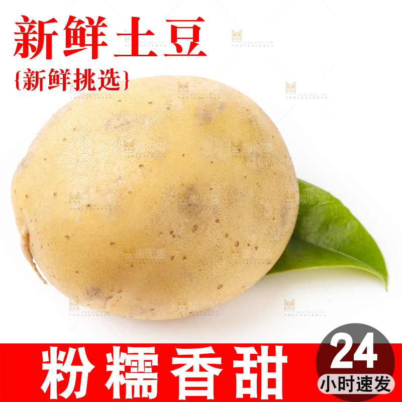 白底上放着黄心土豆