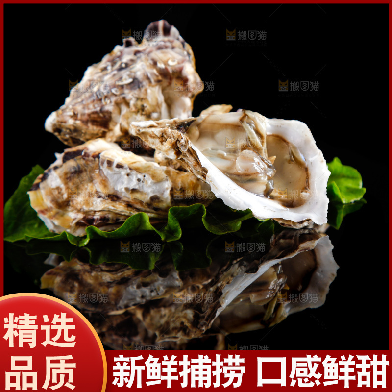 黑底上放着生蚝