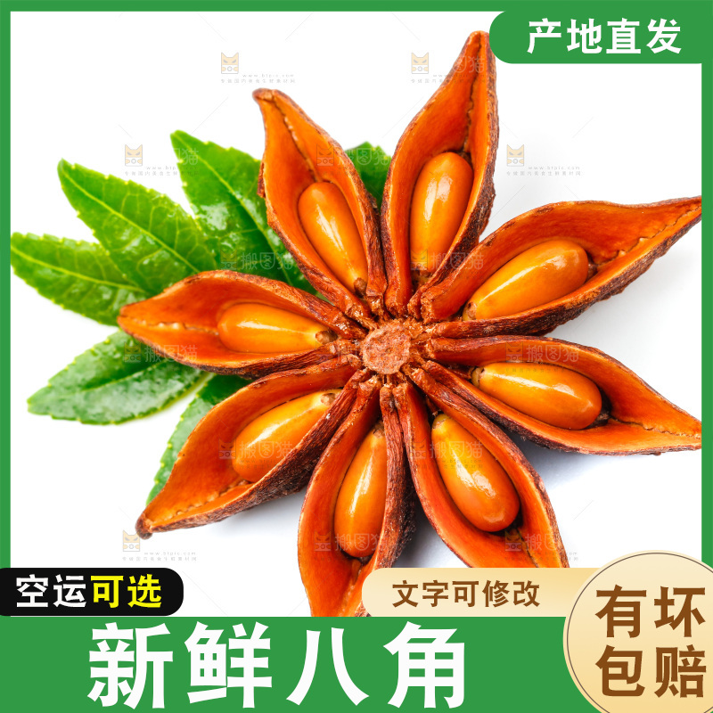 广西八角放在白底上
