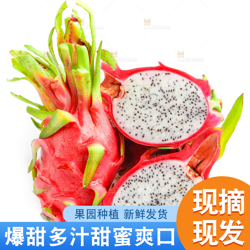 白底上放着越南白心火龙果
