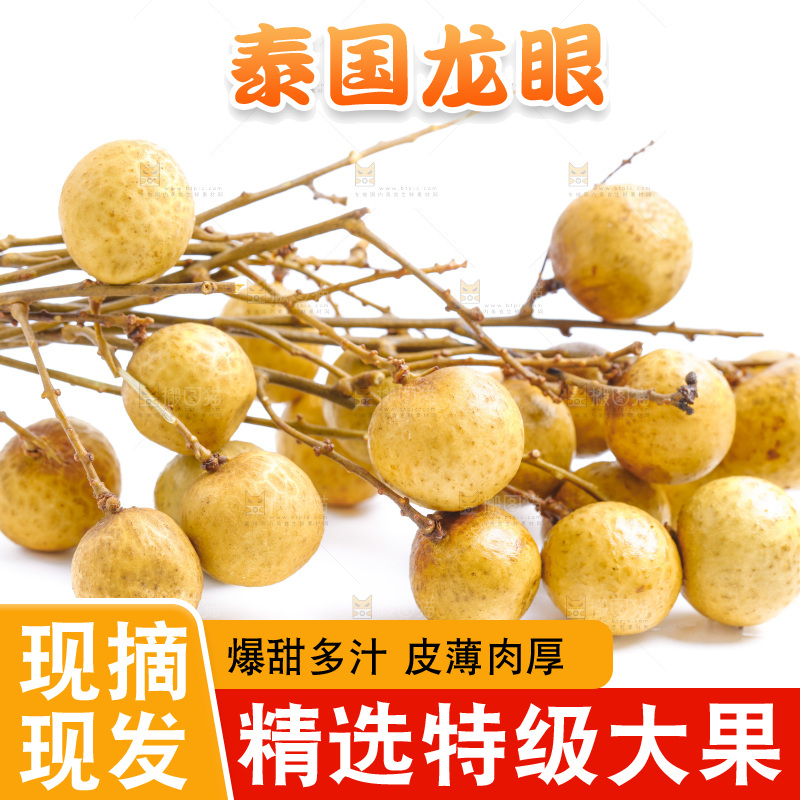 泰国龙眼放在白底上