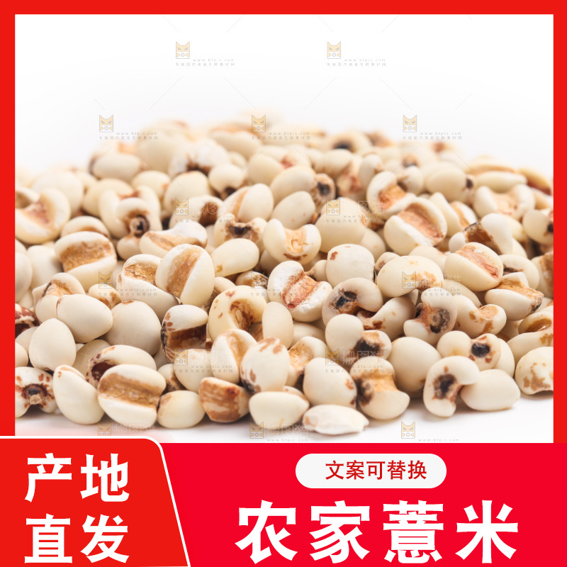 白底上摆放着薏米