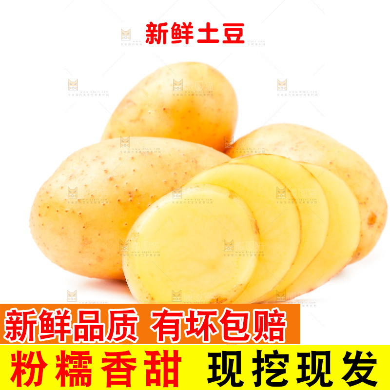 新鲜土豆放在白底上