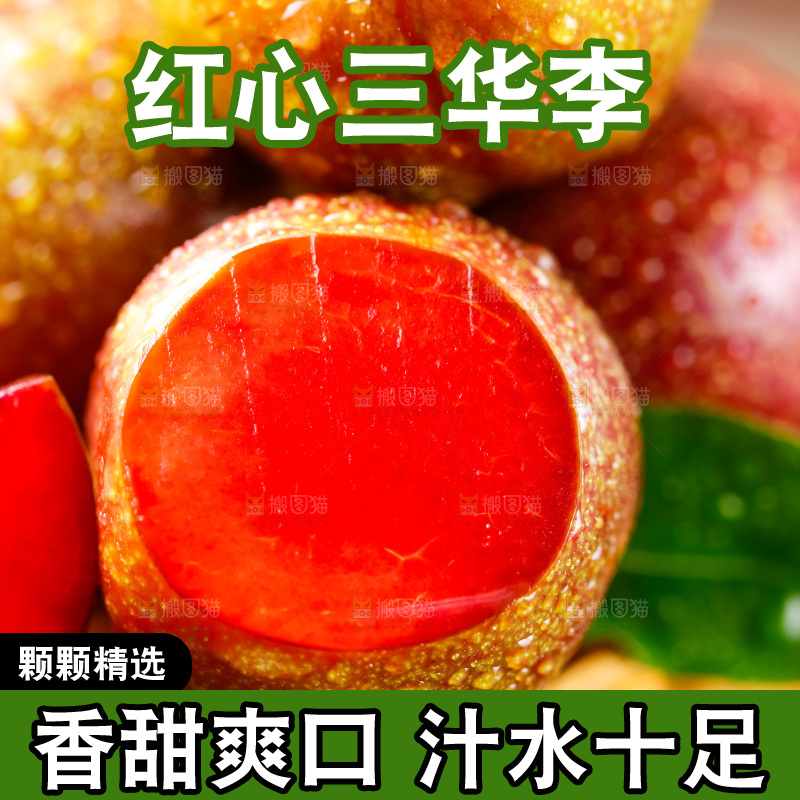 深底上摆放着钱排三华李