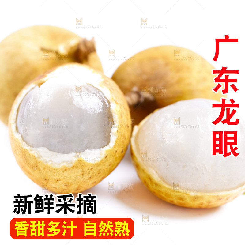 白底上的龙眼