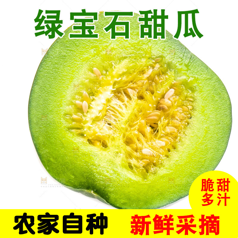 白底上放着山东绿宝甜瓜