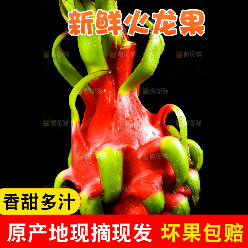 深底上的红心火龙果