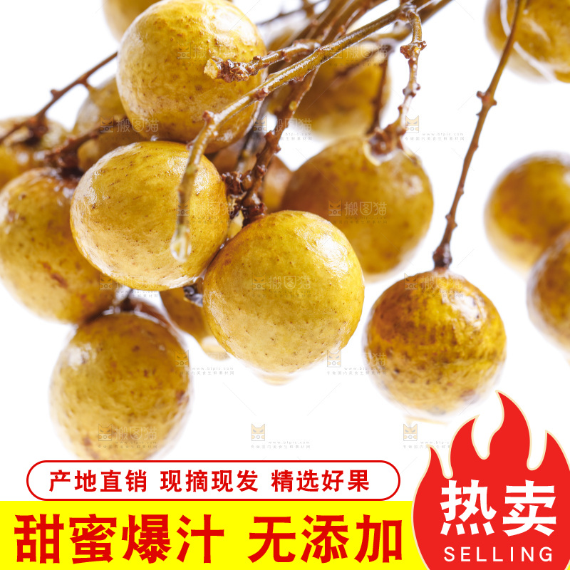 新鲜龙眼放在白底上