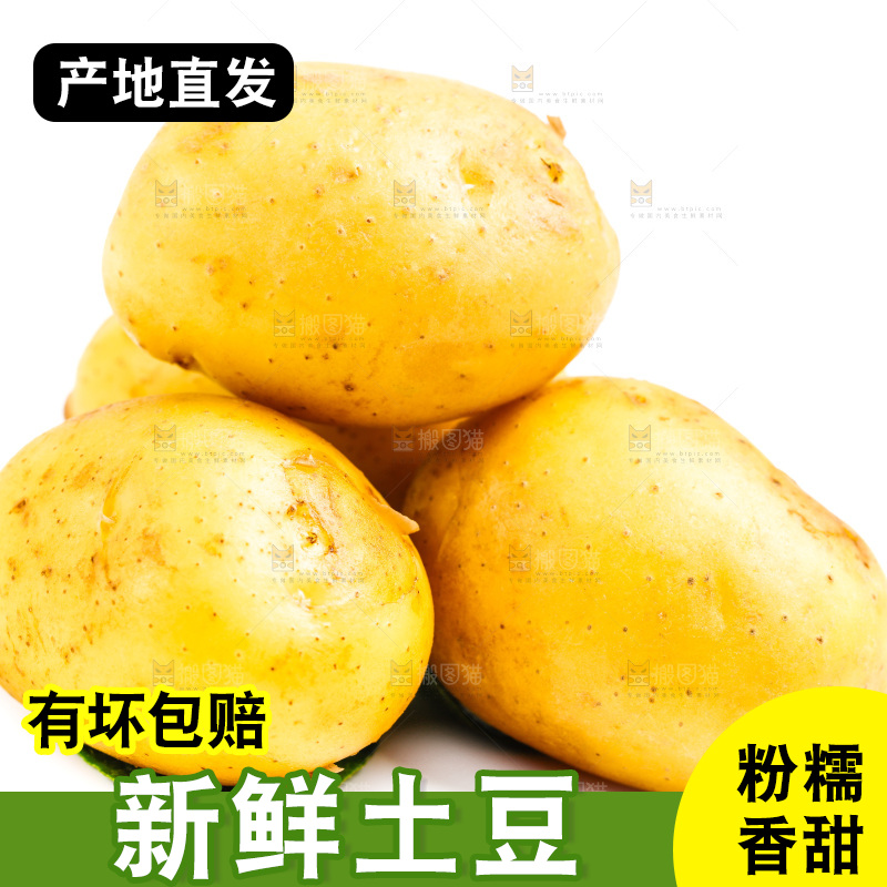 白底上的土豆