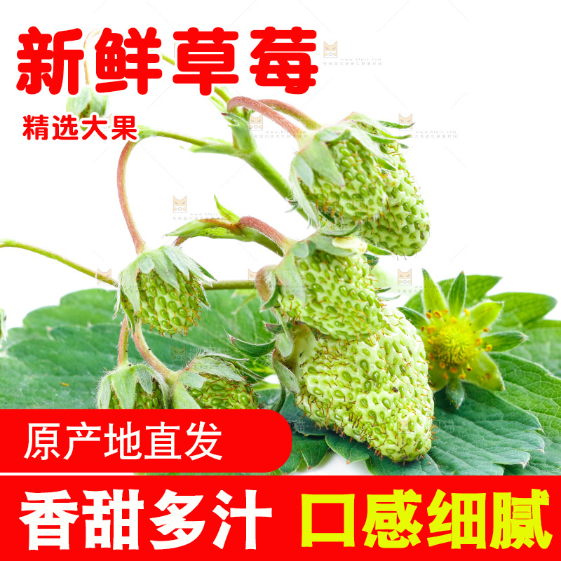 白底上的新鲜草莓