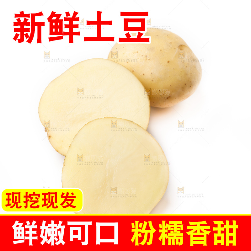 新鲜土豆放在白底上