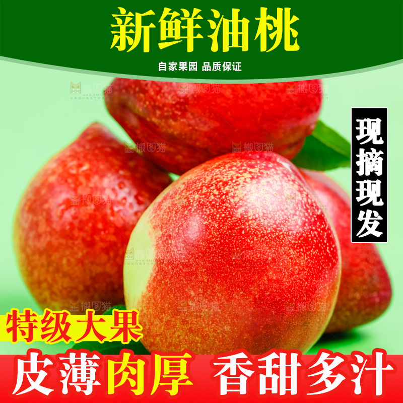 浅底上的新鲜油桃