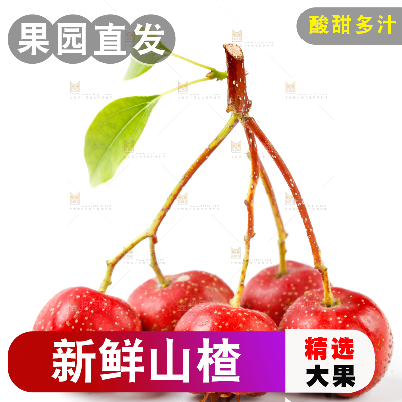 白底上的山楂