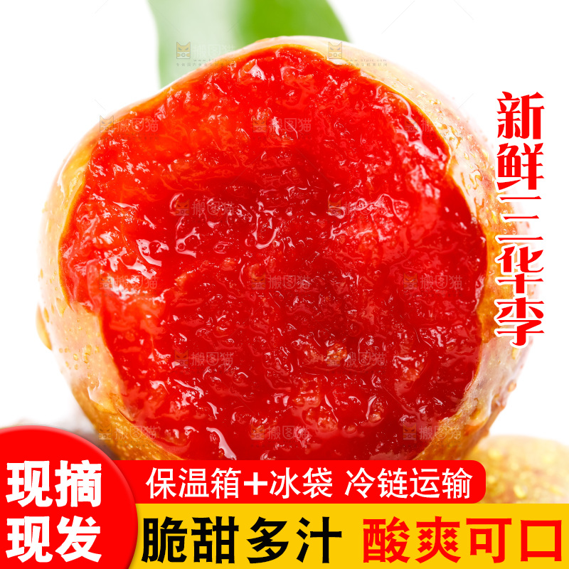 红肉三华李主图