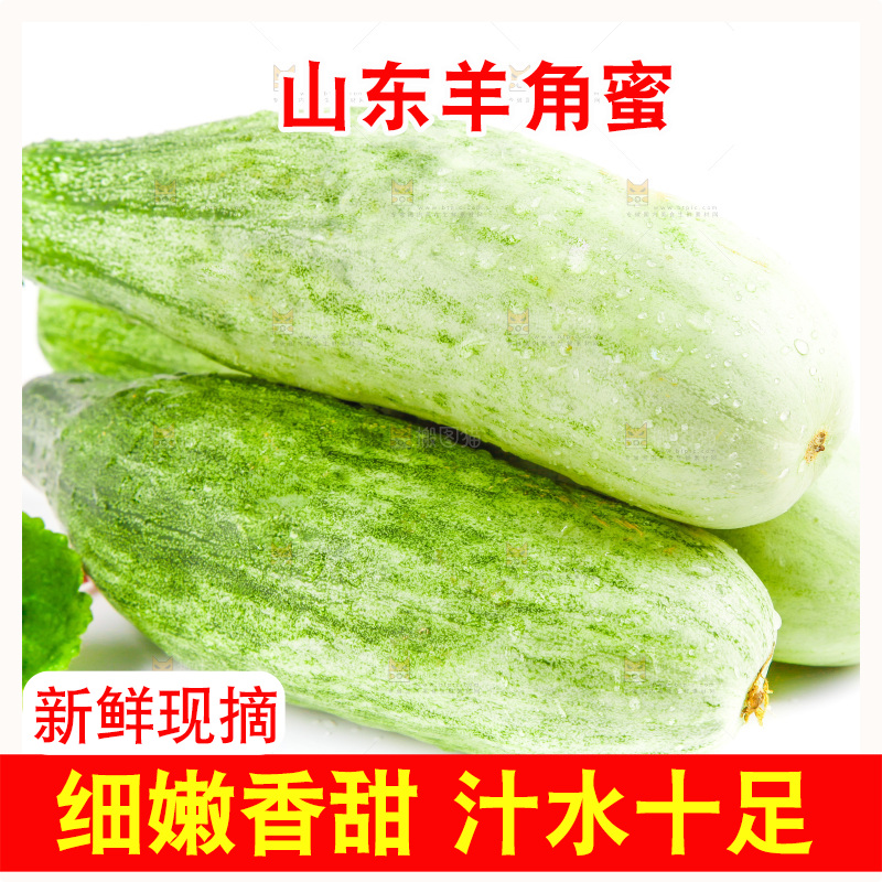白底上的山东羊角蜜甜瓜