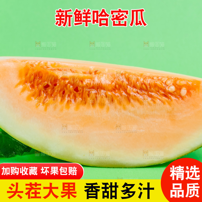 浅底上的哈密瓜