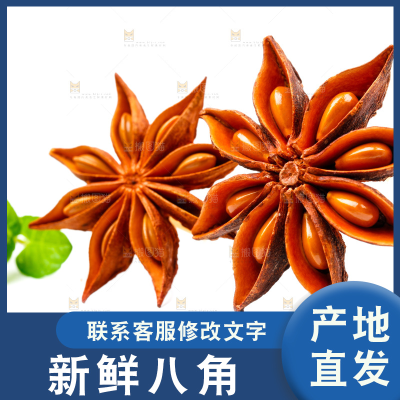 广西八角放在白底上
