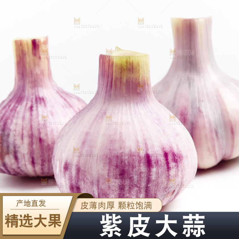 白底上放着多瓣蒜
