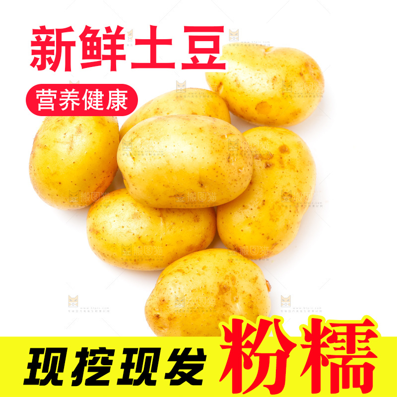 黄心土豆放在白底上