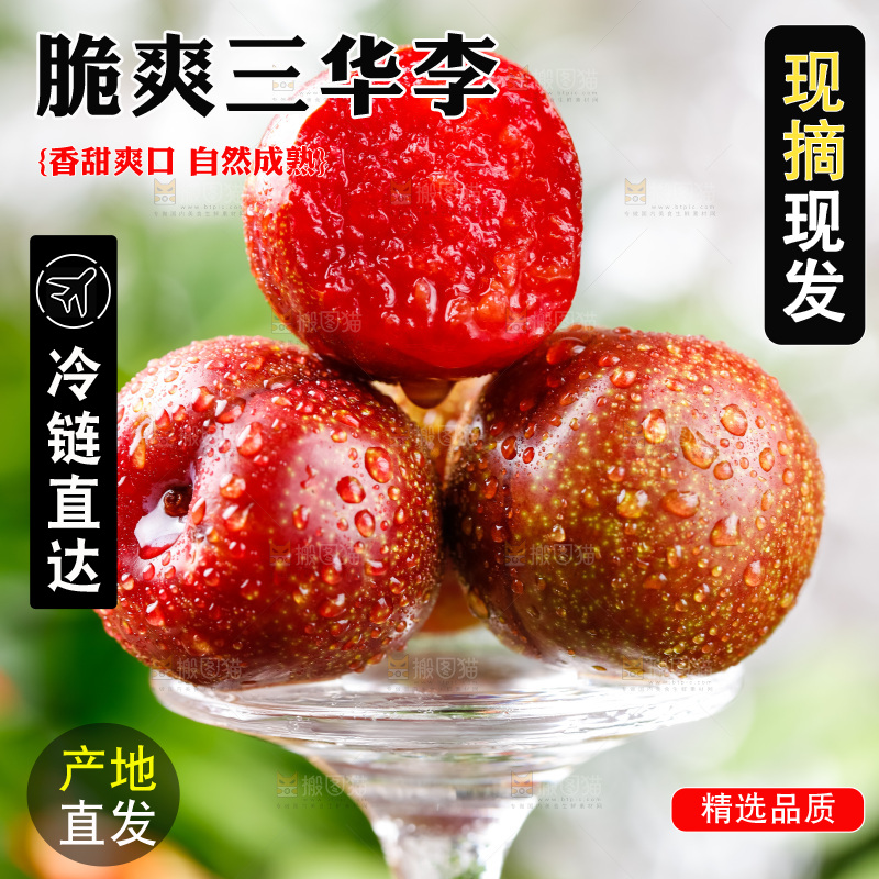 红肉三华李主图