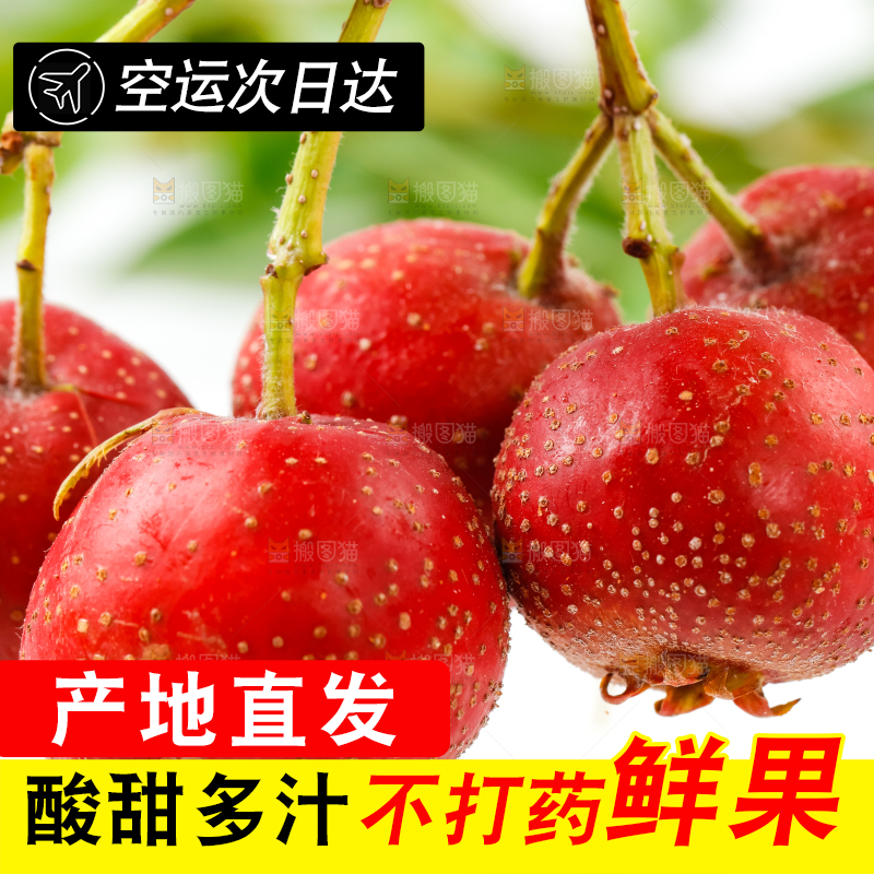白底上的山楂