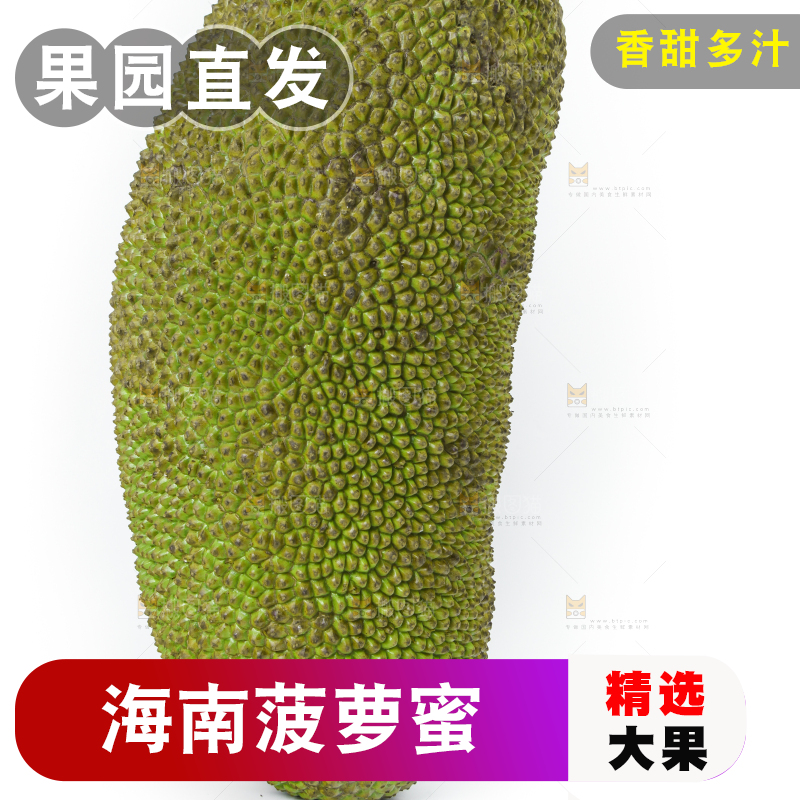 白底上放着一个完整的菠萝蜜