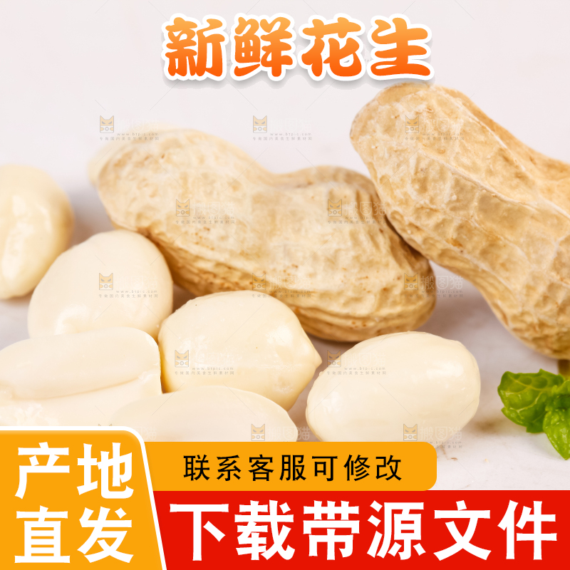 白底上的湿花生