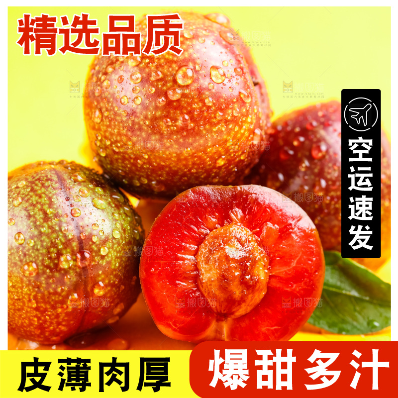 浅底上放着钱排三华李