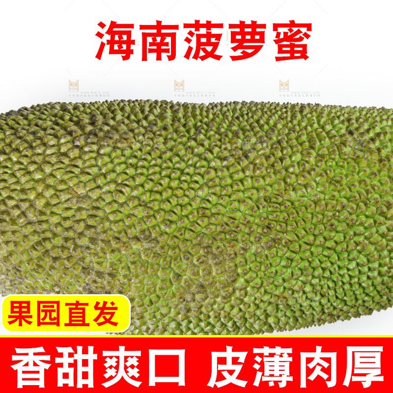 白底上放着一个完整的菠萝蜜