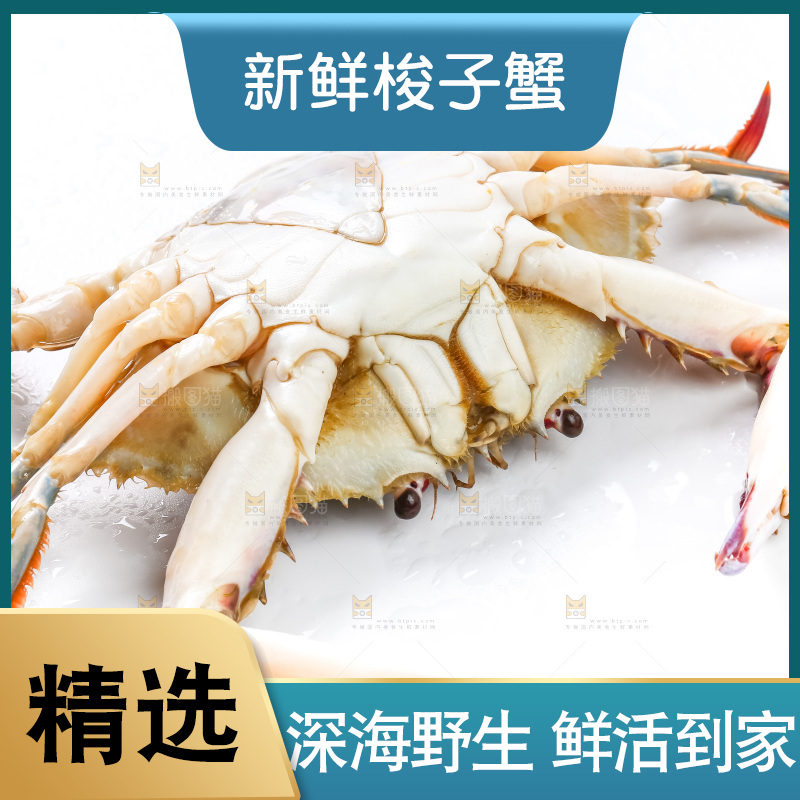 白底上摆放着舟山梭子蟹
