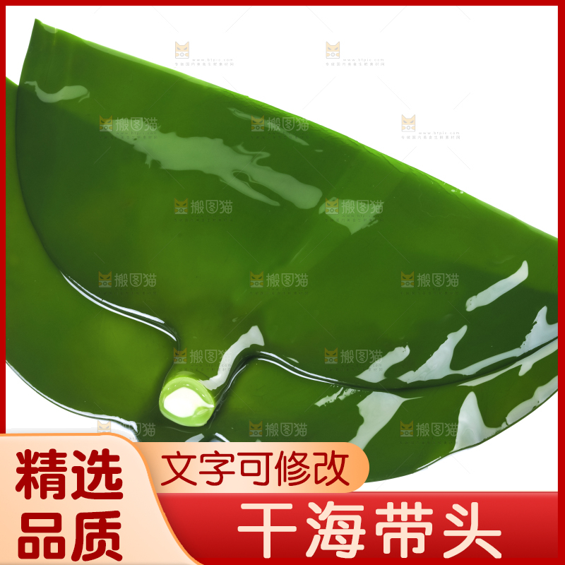 白底上摆放着海带头
