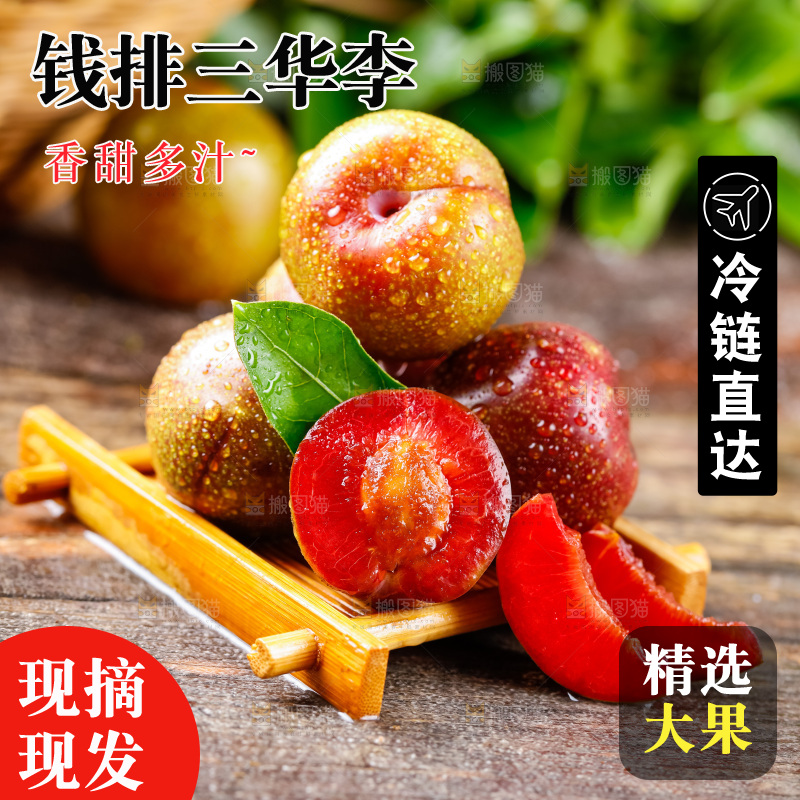 木盒里装着钱排三华李