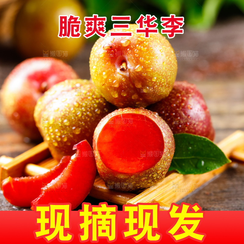 深底上摆放着钱排三华李