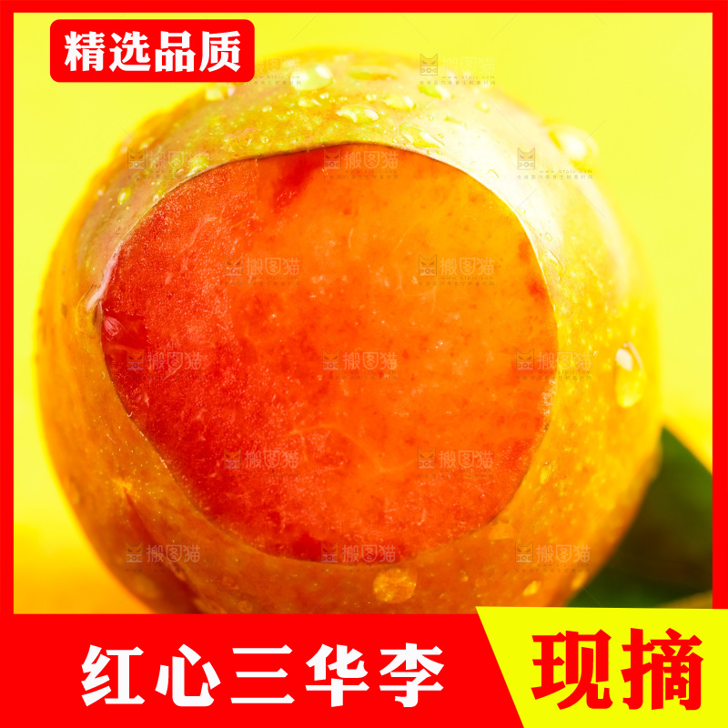 浅底上放着钱排三华李