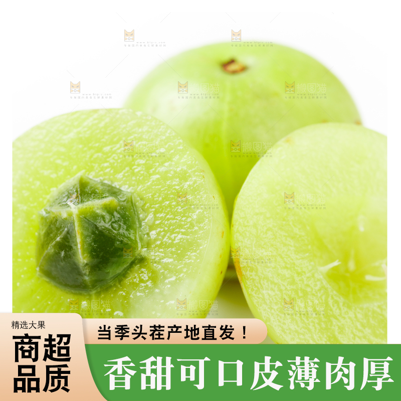 白底上的余甘果