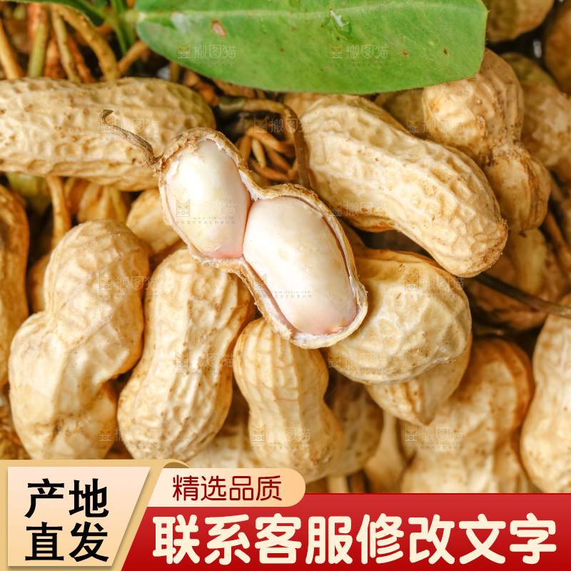 白底上放着一堆湿花生
