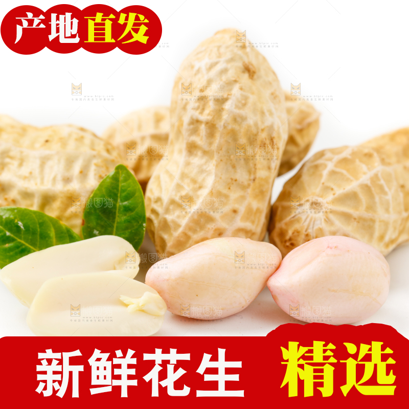 白底上的湿花生和花生米