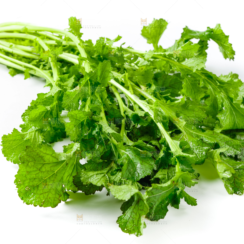 白底上的腊菜